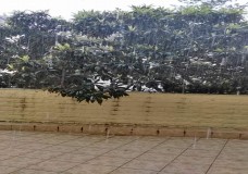 طنجة : أمطار غزيرة تهطل على البوغاز 