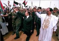 هل تقوى البوليزاريو على تعبئة السعودية ضد صحراء المغرب ؟