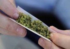 دراسة تؤكد أن الحشيش قد يكون علاجا للزهايمر 