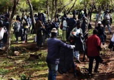 الترحيل يجبِر مهاجرين سريين على الاختباء في غابات طنجة