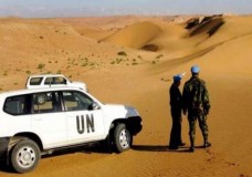 تمديد مهمة المينورسو بالصحراء !؟