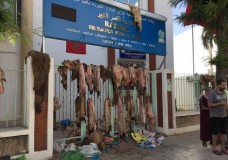 القصر الكبير  : هل ستتفادى مصالح الوكالة المستقلة لتوزيع الماء والكهرباء نزول الساكنة الى الشارع بمناسبة عيد الأضحى  ؟!