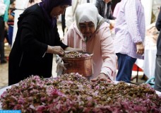 تطوان تستضيف الملتقى الدولي الاول حول تثمين النباتات العطرية والطبية