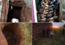 خارج الحدود / فرار 80 سجينا عبر نفق ؛ قاموا بحفره !؟