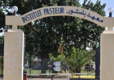 معهد باستور : جينوم سلالات فيروس 