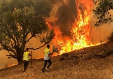حركة استقلال منطقة القبائل في الجزائر تطالب بـ”تحقيق دولي” بشأن الحرائق وإحراق شاب حيا