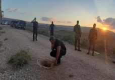قناة عبرية: أحد الأسيرين الفارين بالضفة والآخر ما يزال بدولة الاحتلال