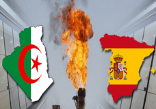غضب الجزائر تجاه إسبانيا مستمر ومرشح لمزيد من التوتر !