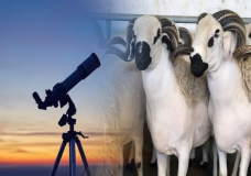 الأوقاف تعلن يوم غد السبت فاتح ذي الحجة  