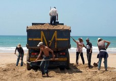 هوارة (طنجة)  : متى تتصدى السلطات المحلية للعصابات التي تنهب الرمال ؟ 