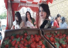 العرائش تحتضن الدورة الثانية من ملكة جمال الفراولة!