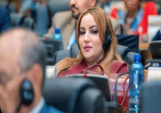 اجتماعات مكثفة بالبرلمان الإفريقي: المغرب يؤكد انفتاحه وتقاسم تجربته الرائدة