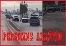 فيديو 