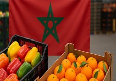 المغرب يتفوق على تركيا واليونان في سوق الفلفل و الماندرين بأوروبا