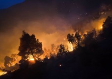 الوكالة الوطنية للمياه والغابات تكشف عن الوضعية الراهنة لحرائق الغابات  من فاتح يناير إلى 20 يوليوز 2026