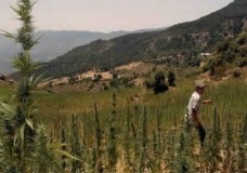 جمعيات تطالب بإنشاء وكالة لتنمية 
