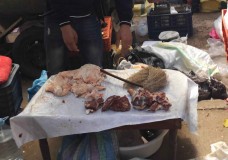 لحوم الذبيحة السرية تغزو طنجة يؤشر على محدودية مجهودات السلطة