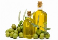 الزيتون لم يُذكر عبثاً في القرآن، إقرأ فوائده وفوائد زيته!