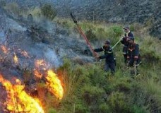 طنجة.. حريق يلتهم مساحة غابوية بمنطقة الغندوري