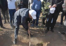 غرس أزيد من 190 ألف شجيرة في يوم واحد بجهة طنجة بمناسبة