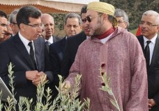 مراكش : الملك محمد السادس يطلق نظاما للري بالتنقيط في 