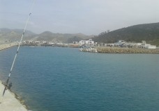 طنجة : الحديث عن تعويض الشباك المتضررة من سمك النيكرو !