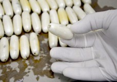 توقيف 3 نيجيرين وغيني حاولوا تهريب كوكايين إلى المغرب داخل أمعائهم