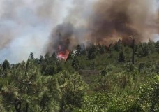 مركز ابن بطوطة يصدر بيانا حول حرائق محمية السلوقية بطنجة