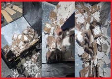 عاجل..إحباط محاولة تهريب طن 140 كلغ من مخدر الشيرا بميناء طنجة المتوسط!