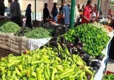 خفض أسعار الخضروات والفواكه بأوروبا في ماي المقبل